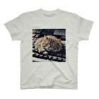 Ruru1の猫とキーボード Regular Fit T-Shirt