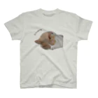 Twelve CatsのI'm sorry... Regular Fit T-Shirt