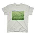 uiiiiiiiiiiiiiiiiiiiiiiiiuの田植え（みたいな） スタンダードTシャツ