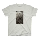 猫和尚のＴシャツ屋さんの猫のうずまき Regular Fit T-Shirt