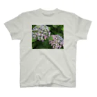 chachakoo5の梅雨の花 スタンダードTシャツ