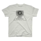 パコカリの世界のマトリックス Regular Fit T-Shirt