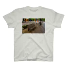 hideaki_machiburaの丸の内ベンチTシャツ Regular Fit T-Shirt