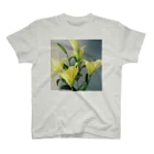 hugging love ＋《ハギング ラブ プラス》のyellow lily 1 スタンダードTシャツ