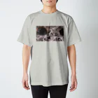 Lucienの猫の眼に映る宝石 Regular Fit T-Shirt