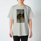 misaoのかくれ猫 Regular Fit T-Shirt