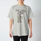 名無しのゴンベのニケ Regular Fit T-Shirt