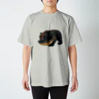 nicherϋの木彫り熊Ｂ (両面) Regular Fit T-Shirt