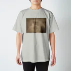 和梨の灯り Regular Fit T-Shirt