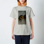 misaoのかくれ猫 Regular Fit T-Shirt