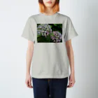 chachakoo5の梅雨の花 スタンダードTシャツ