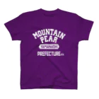 APPARE APPARELの山梨県  MOUNTAIN PEAR スタンダードTシャツ