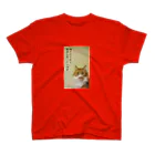 猫沢太陽の肉だけでなく野菜も食べたいです。 スタンダードTシャツ