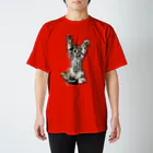 ポカポカ牧場のべ～にゃん Regular Fit T-Shirt