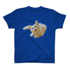 エマメ本舗のオッドアイのエマメちゃんグッズ スタンダードTシャツ