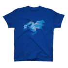 AURA_HYSTERICAのThe_Dragon_Strikes Regular Fit T-Shirt