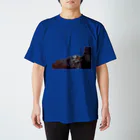 Takemortのぬこ(クアラルンプールにて) Regular Fit T-Shirt