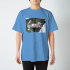 玲のちいさなお店のカピバラの水遊び スタンダードTシャツ