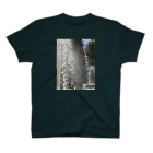 taocatのThe Joy of Water スタンダードTシャツ