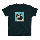 nanpeのアクアマリンの瞳のシャム猫 スタンダードTシャツ