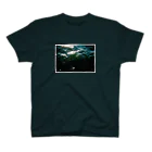 白湯の写ルンですで撮った江ノ島の海 スタンダードTシャツ