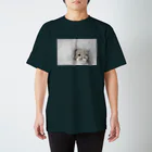 【動物の魔法】動物が好きな全ての人が笑顔溢れる毎日を過ごすための雑貨店◆にこらびの暮らしに役立つ★サロベツのエゾクロテン Regular Fit T-Shirt