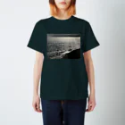 空屋　sorayakusakaの202004241513000　銀の海岸線 Regular Fit T-Shirt