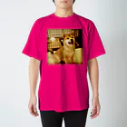 チャットシャルムの犬だよ〜 スタンダードTシャツ