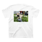 ゲトーファンクの愛犬　せんず君　Tシャツ スタンダードTシャツの裏面