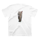 riggruの野良な猫 スタンダードTシャツの裏面