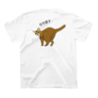 はなねこのあそぶ？ねこちゃん　アビシニアン Regular Fit T-Shirtの裏面