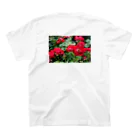 ひなの花(赤) スタンダードTシャツの裏面