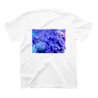 ミヤモト　ミヅキのAQUARIUM スタンダードTシャツの裏面