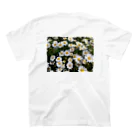 はるはるの春の花 Regular Fit T-Shirtの裏面