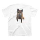 柴犬と柴犬のshibainuうちの子2 Regular Fit T-Shirtの裏面