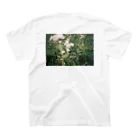 m_gn0405のflower. スタンダードTシャツの裏面