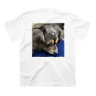 オレンジ　☆oremjiironoshikaの幸せ運ぶ犬 スタンダードTシャツの裏面