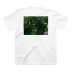 植物観察の身近な植物観察 スタンダードTシャツの裏面