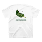 SARAD&SUPER FOOD専門店Green☆ cafe KIKIRARAのkale柄 スタンダードTシャツの裏面