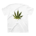 CALUA.420の菅カンナビス Regular Fit T-Shirtの裏面