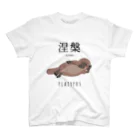 SAKUMA RECORDSの涅槃なカモノハシ Regular Fit T-Shirt