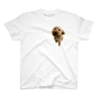 アラビックまりんの愛犬 Regular Fit T-Shirt
