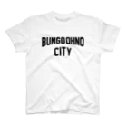 JIMOTOE Wear Local Japanの豊後大野市 BUNGO OHNO CITY スタンダードTシャツ