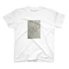 絵描きhiro CのギャラリーHMの絵描きhiro C オリジナル作品Tシャツ「瞬」 スタンダードTシャツ