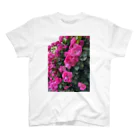 sumidagawaの薔薇の壁 Regular Fit T-Shirt