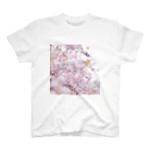 MASIA-AIRLINEのthe last spring. スタンダードTシャツ