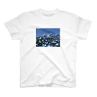 mofufu picturesのNemophila Regular Fit T-Shirt