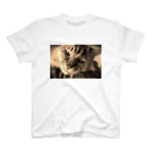 kurodoteのあまえんぼうの猫のチー Regular Fit T-Shirt