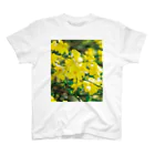 akane_art（茜音工房）の癒しの風景（オウバイ） Regular Fit T-Shirt