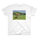 柴犬と柴犬の初夏と柴犬(両面) Regular Fit T-Shirt